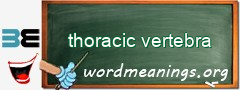 WordMeaning blackboard for thoracic vertebra